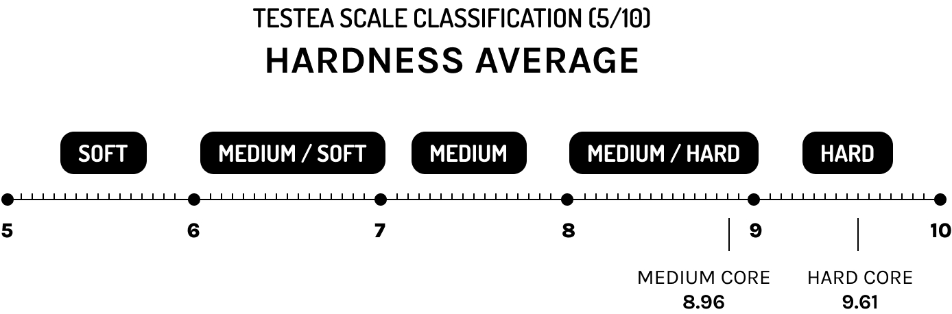 Pulzonehardy Ruler RAGE Custom X TESTEA Lab – The Evolution of Padel Rackets