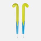 Feldhockey-Pferd - Beispiel (6)